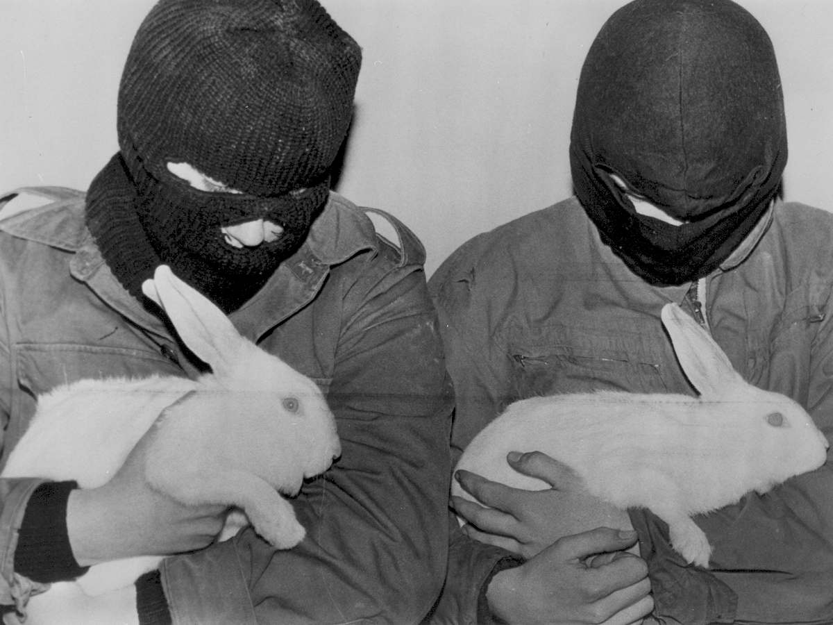 The Animal Liberation Front - Radical Animal Rights Activism By Any Means Necessary!