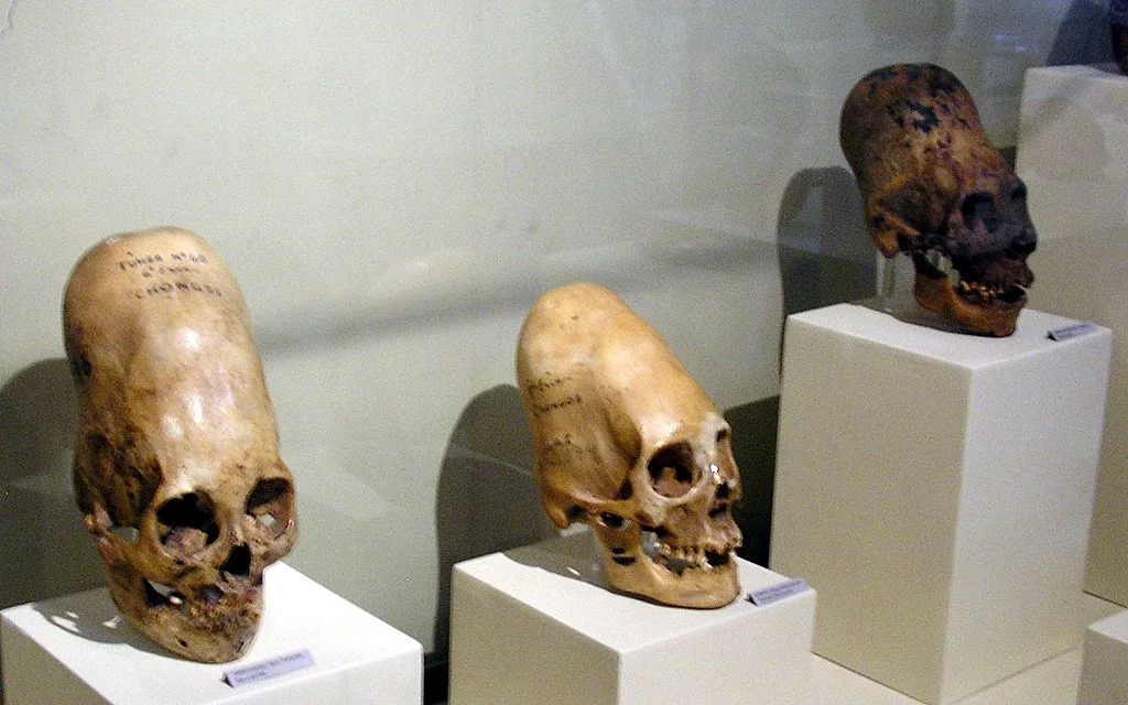 1024px-ParacasSkullsIcaMuseum.jpg
