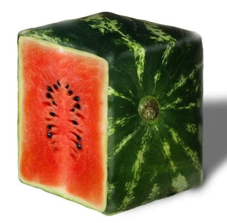 Plant Based Food Rarities - Raw Haute Cuisine As Premium And Prestigious As It Can Ever Get
