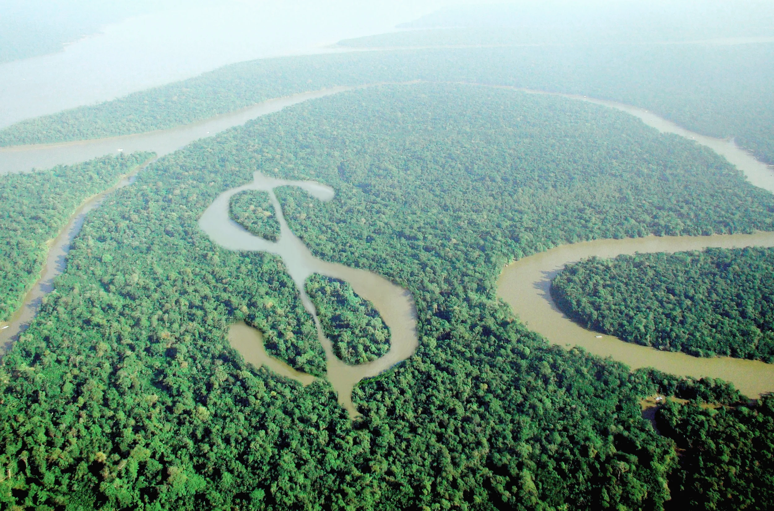 Nature Coins - A New Eco Conscious Cryptocurrency That's Captilizing Off Carbon