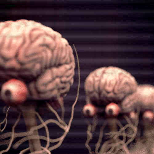 Neuromarketing – The Art of Penetrating the Subconscious to Stimulate Consumption