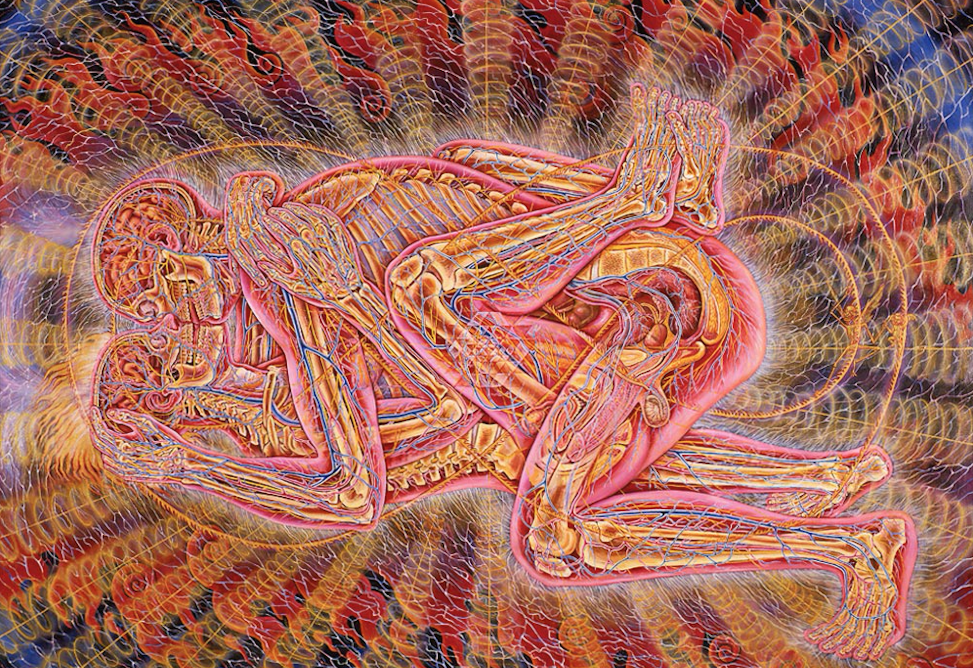Copulating 1984. Oil on linen. 75 x 96 in. (credit: Alex Grey )