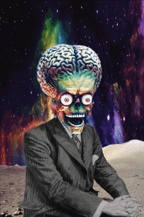 giphy.gif