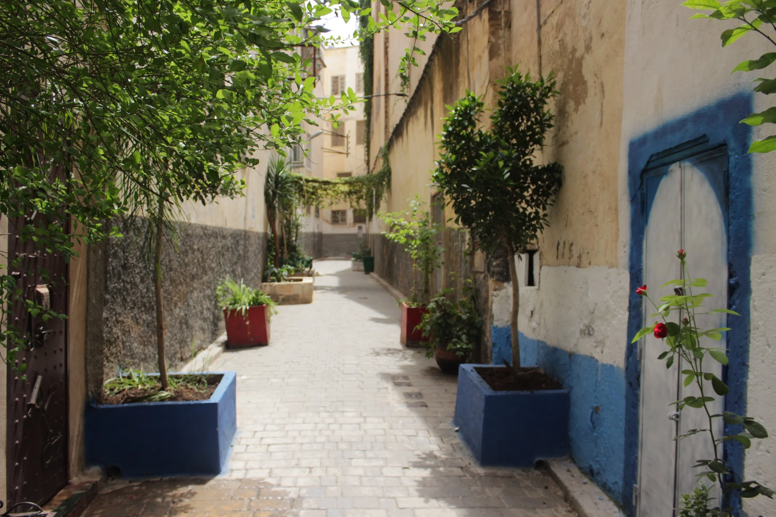 Morroccan Travel Guide: MOT Travel Issue 1 