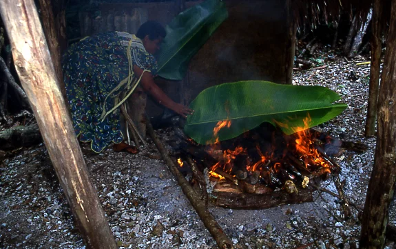 Vanuatu Photo Copyright catherinebendayan1@gmail © Catherine feu lap lap.jpg