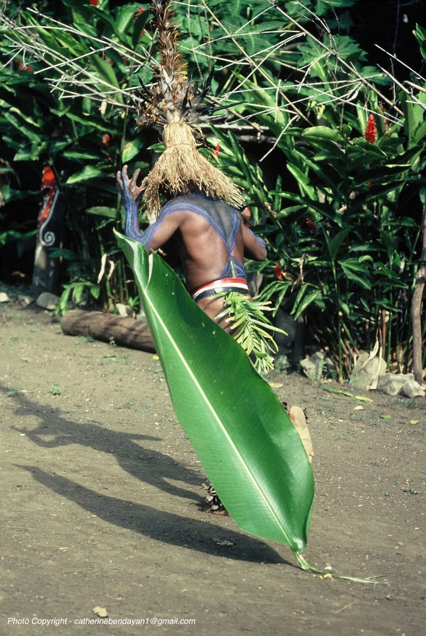 Vanuatu Photo Copyright catherinebendayan1@gmail-DANSE pour LAP_ LAP -F1030059.jpg