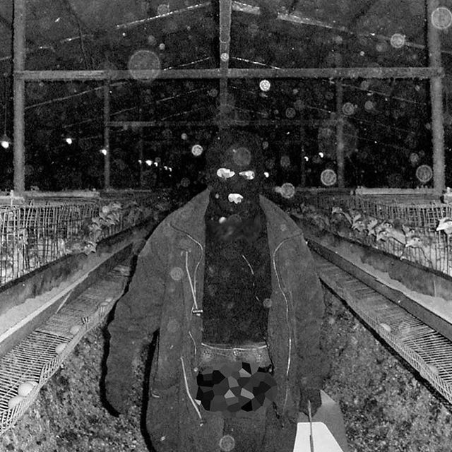 @animaliberationfront - Radical Animal Rights Activism by Any Means Necessary (w/ Special Guest Contribution from @wes_omar)
_________
1950&rsquo;s megastar Doris Day is an animal activist. So is comedian Ricky Gervais. Shock-jock Howard Stern. Actre