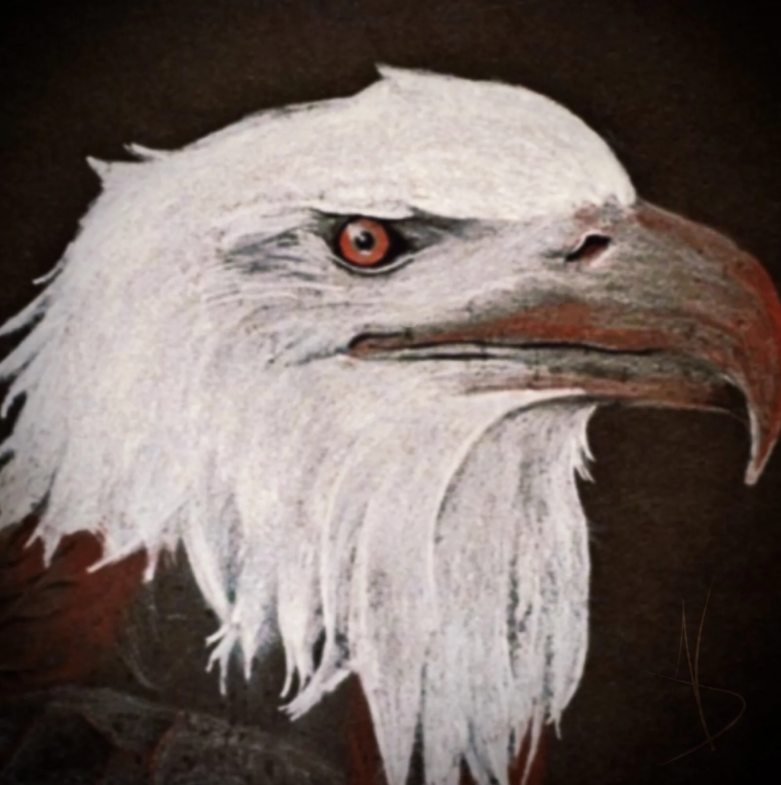 0FA7499C-7D55-410B-BA23-C2F4331B43B2.jpeg