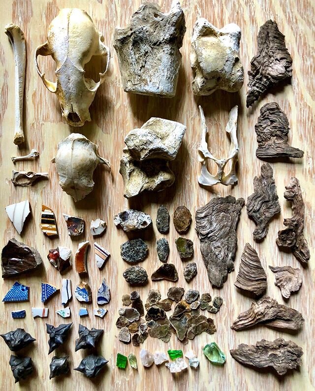 A month of treasures found in Central Park and along the Hudson River path: broken pottery &amp; glass, water chestnut seed pods, mica flakes &amp; rocks, bones &amp; skulls, and weathered wood chips which I now count among my most prized possessions