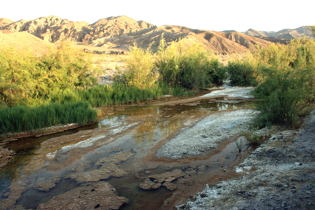 Amargosa River2 (2).jpg