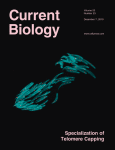  Kitano, J., Lema, S.C., Luckenbach, J.A., Mori, S., Kawagishi, Y., Kusakabe, M., Swanson, P., Peichel, C.L.&nbsp; 2010.&nbsp; Adaptive divergence in the thyroid hormone signaling pathway in the stickleback radiation. &nbsp; Current Biology &nbsp;20,