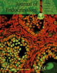  Lema, S.C., Dickey, J.T., Schultz, I.R., Swanson, P. 2009.&nbsp; Thyroid hormone regulation of mRNAs encoding thyrotropin beta-subunit, glycoprotein alpha-subunit, and thyroid hormone receptors alpha and beta in brain, pituitary gland, liver and gon