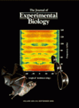  Lema, S.C. and Nevitt, G.A. 2006.&nbsp; An ecophysiological mechanism for morphological plasticity in pupfish and its relevance to conservation efforts for endangered Devils Hole pupfish. &nbsp;  Journal of Experimental Biology  209, 3499-3509. &nbs