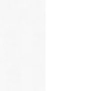White - White