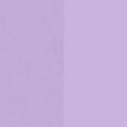 Purple - Pantone 2577 U