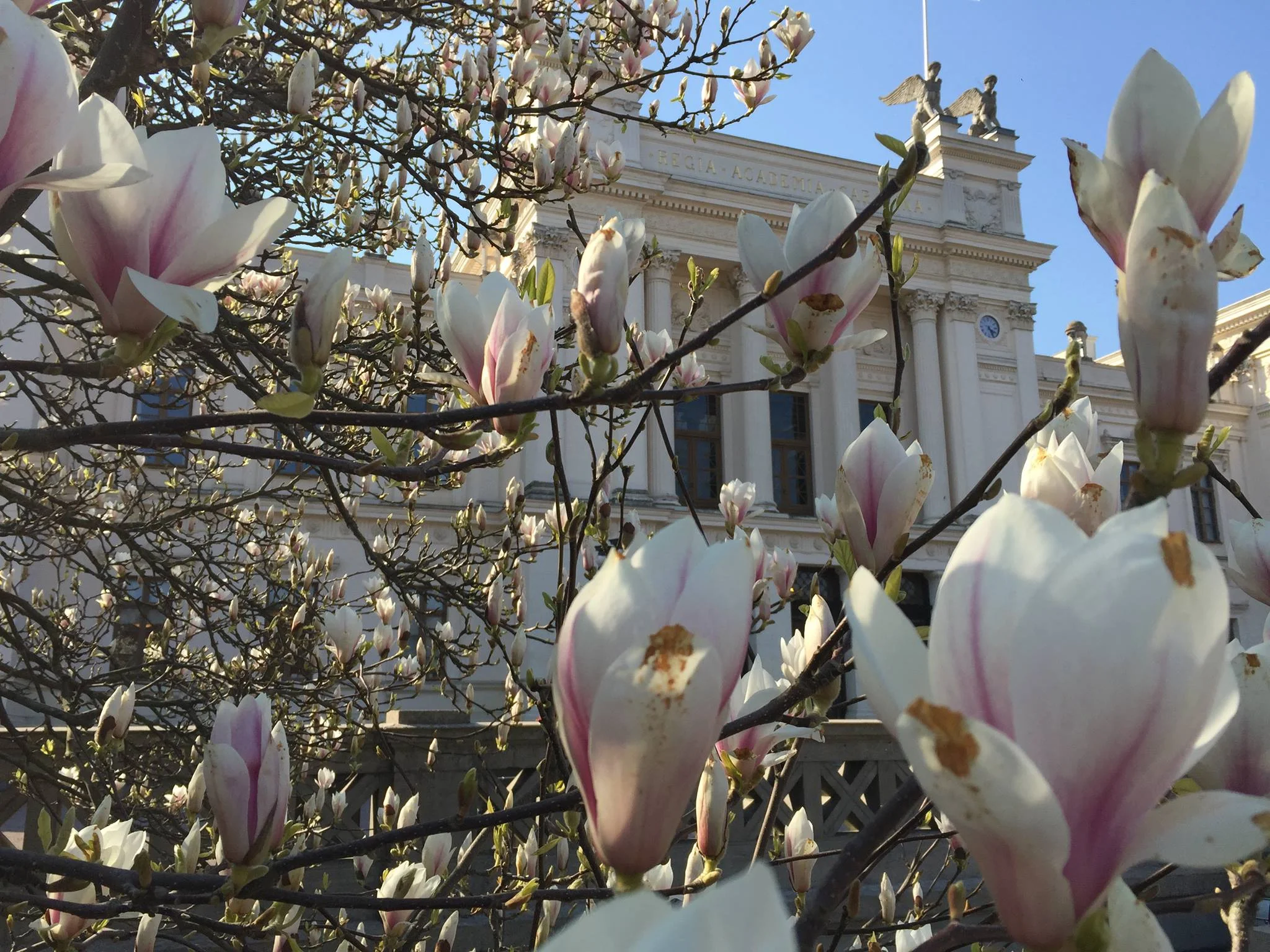 Lunds Studentsångare och Edda Magnason sjunger in våren