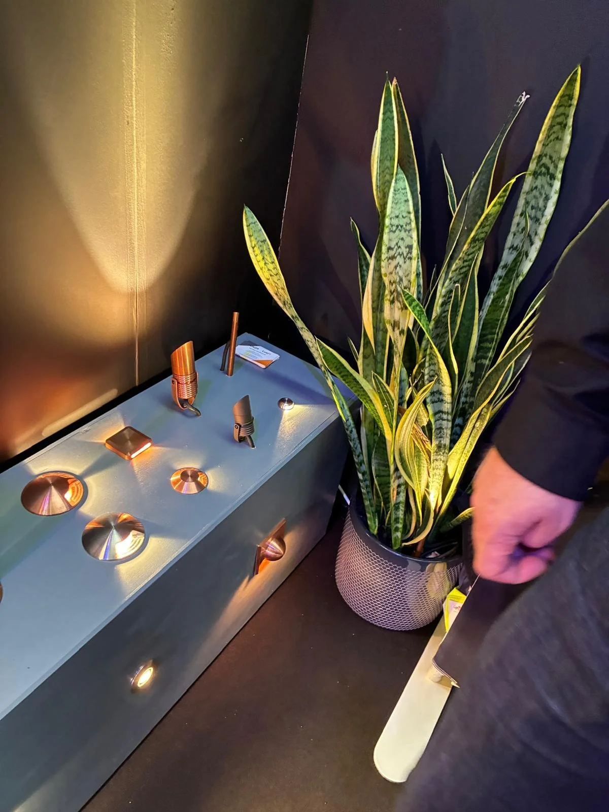 WhatsApp Image 2025-11-24 at 09.19.43 (8).jpeg