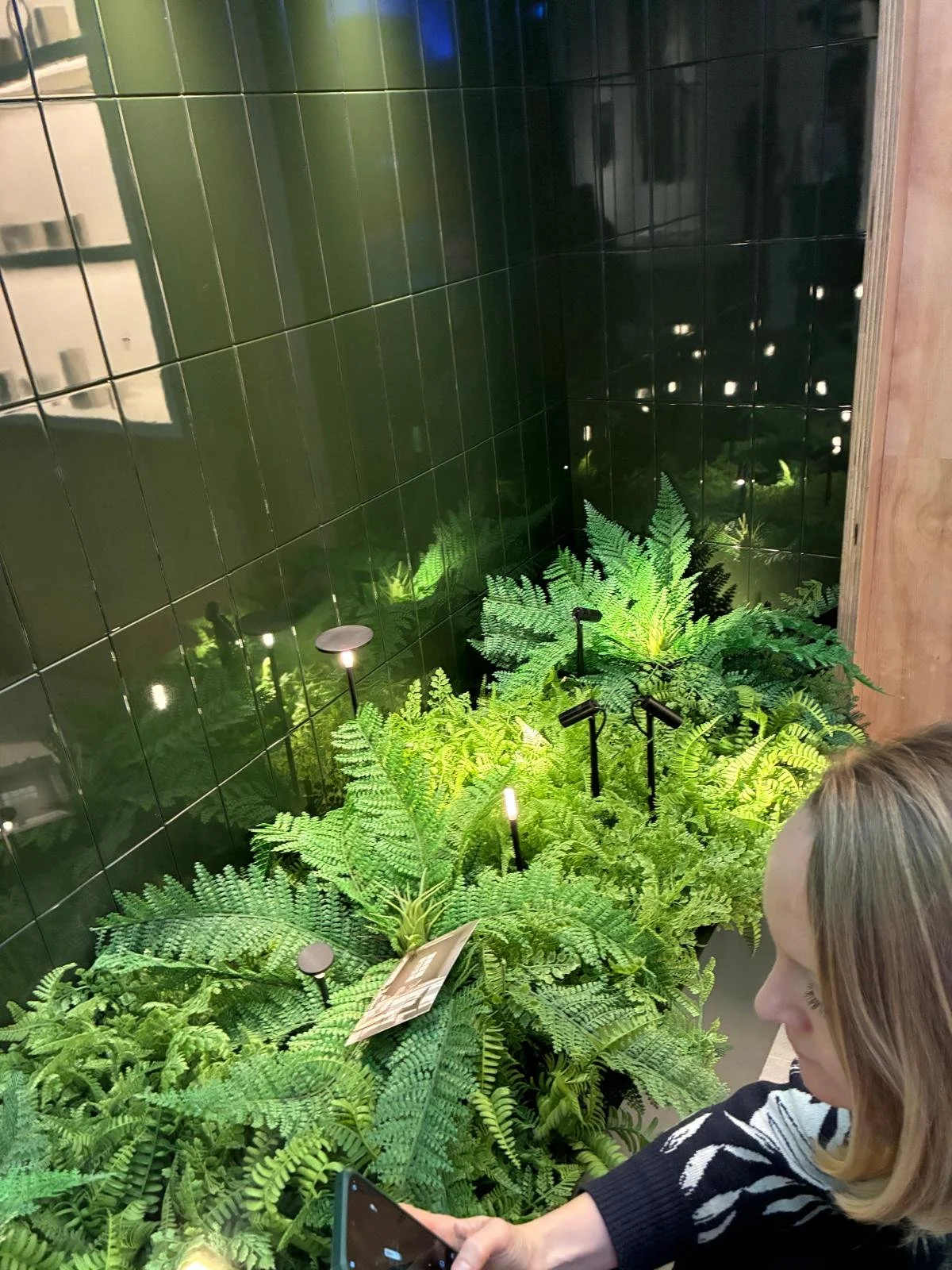 WhatsApp Image 2025-11-24 at 09.19.43 (12).jpeg