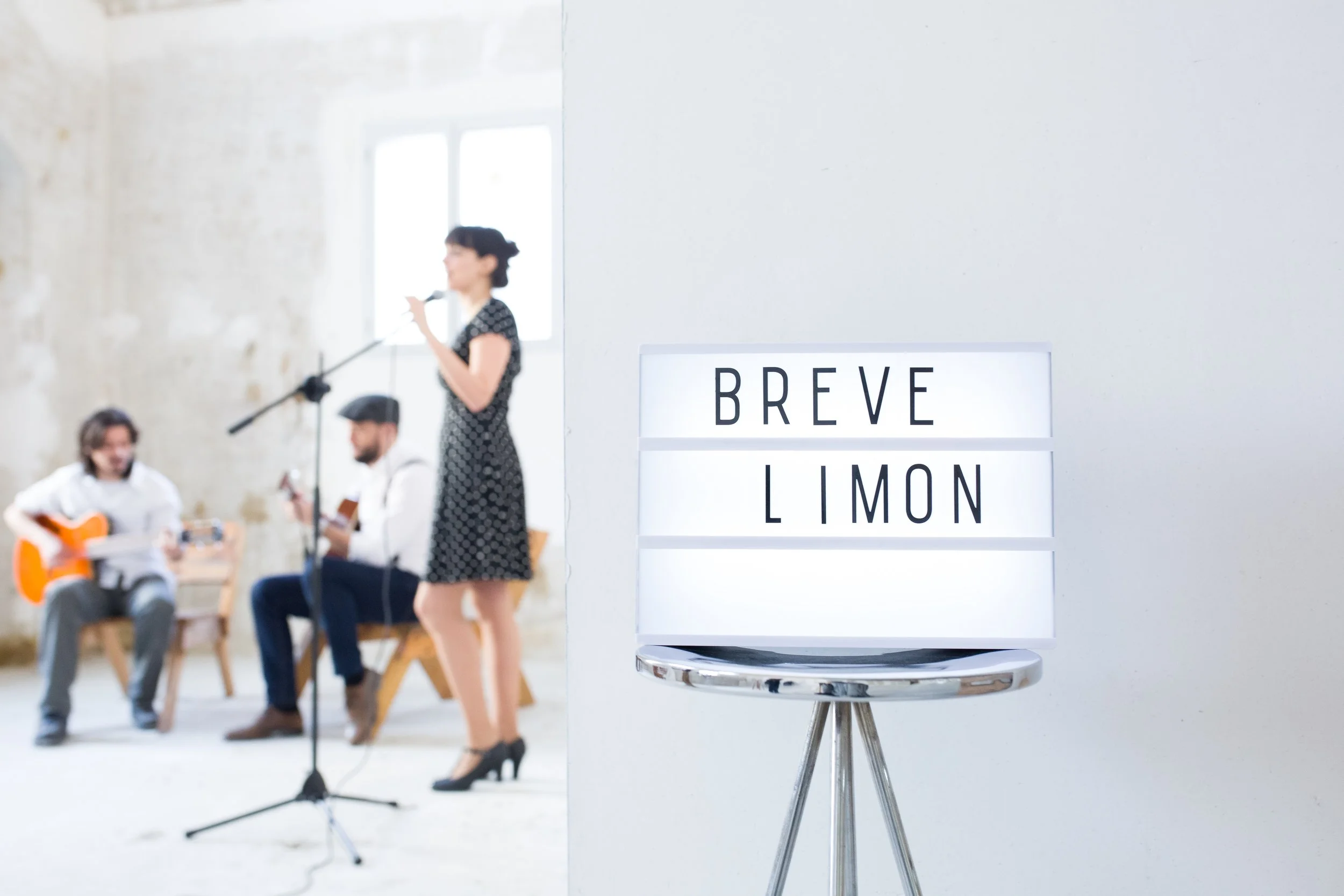 breve lim¡on.jpg