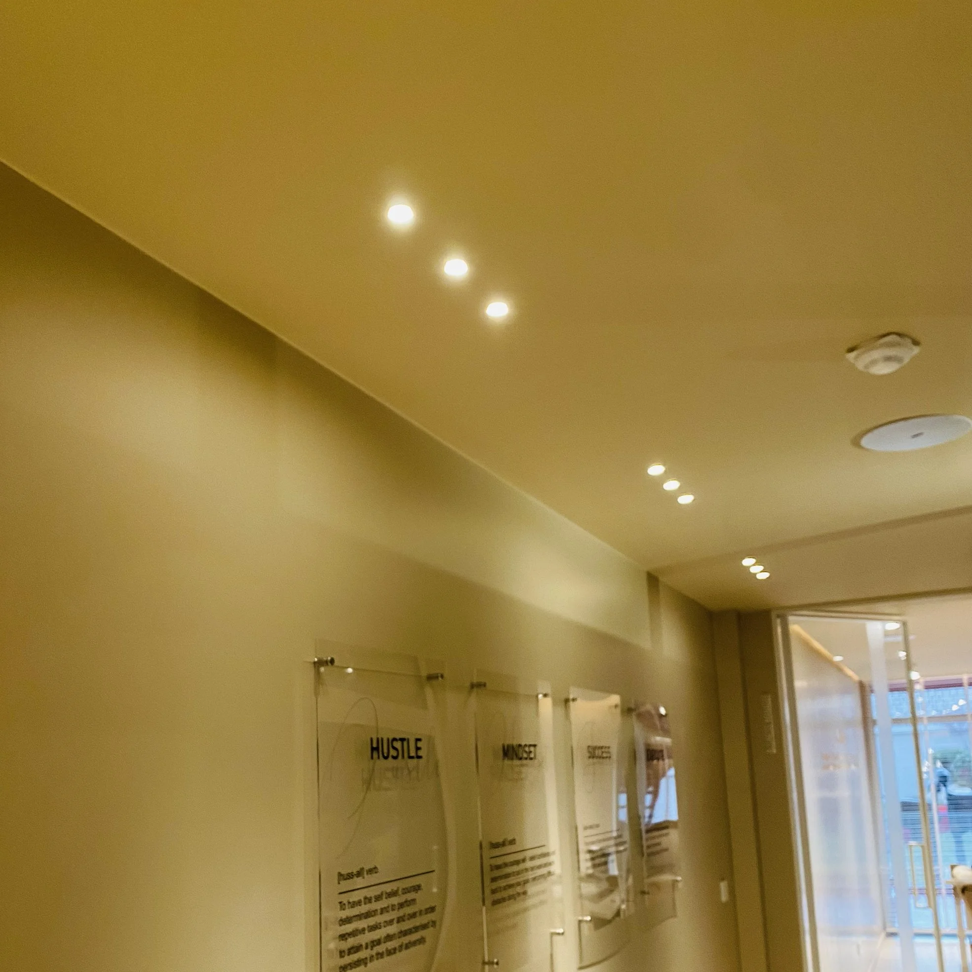 HOBO trimless 3 light recessed.jpg