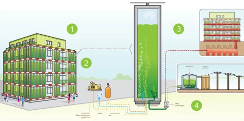 BIQ: The Bio Intelligent Quotient building in Hamburg is powered by algae.