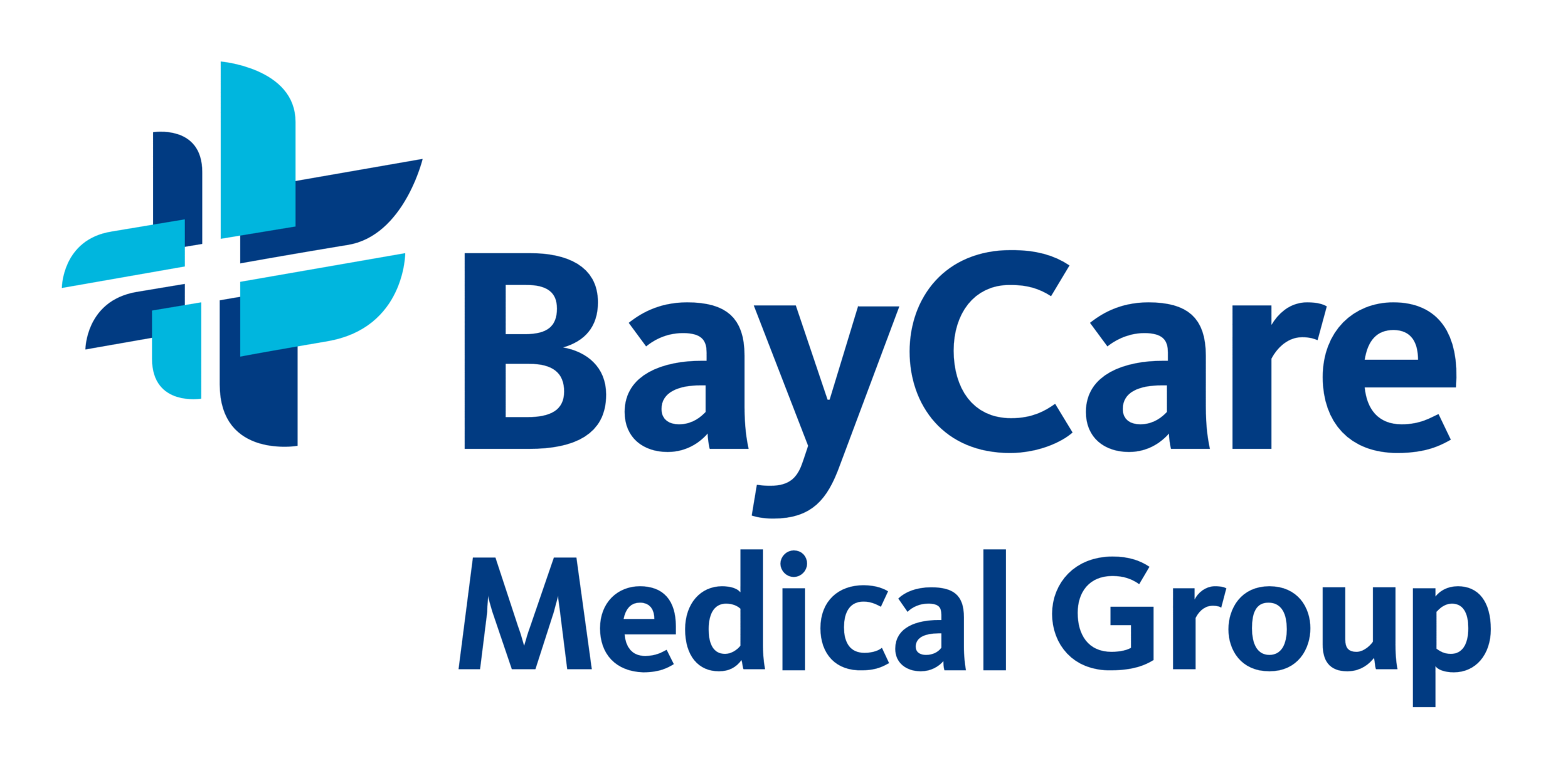 BayCare.png