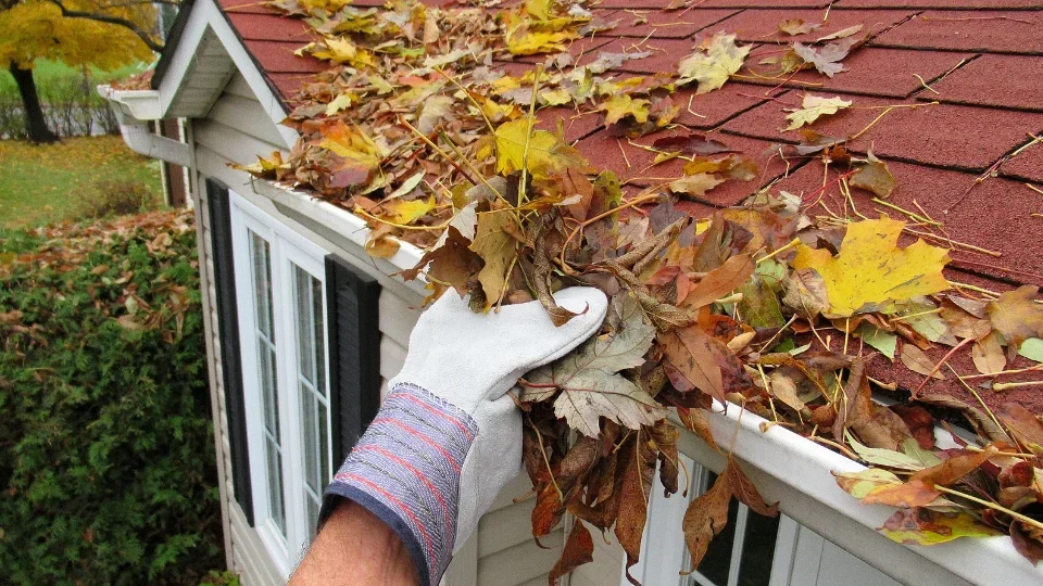 roof maintenance.webp
