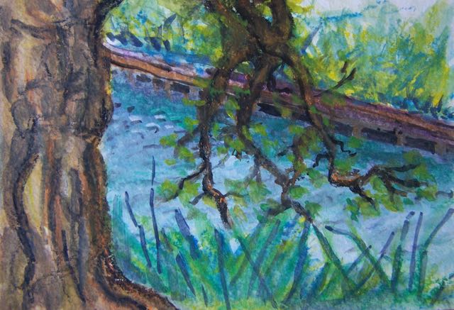 le canal du Midi