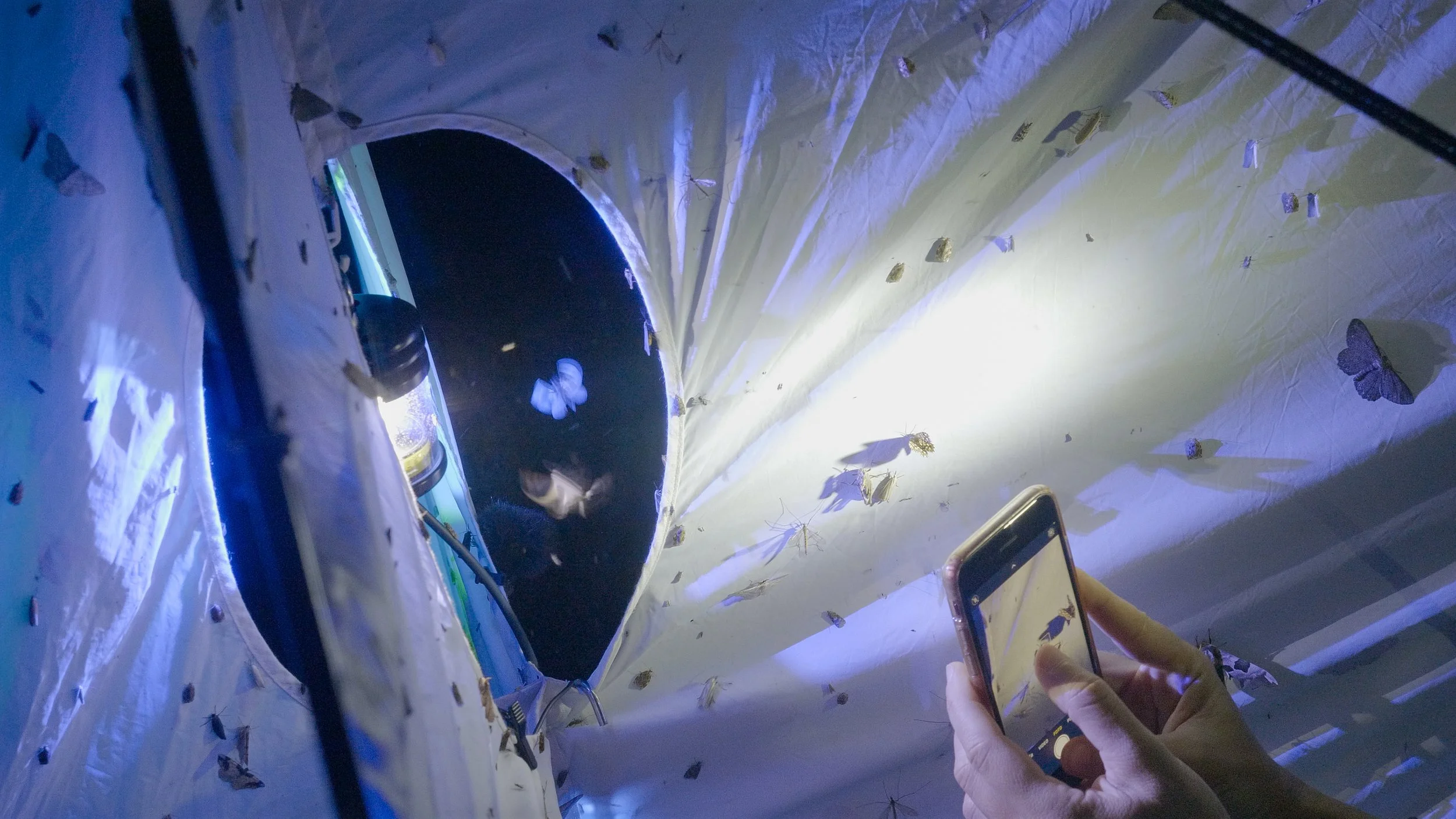 Agáta Hošnová: Ve stínu lamp @Qartal #19 Magazín GHMP