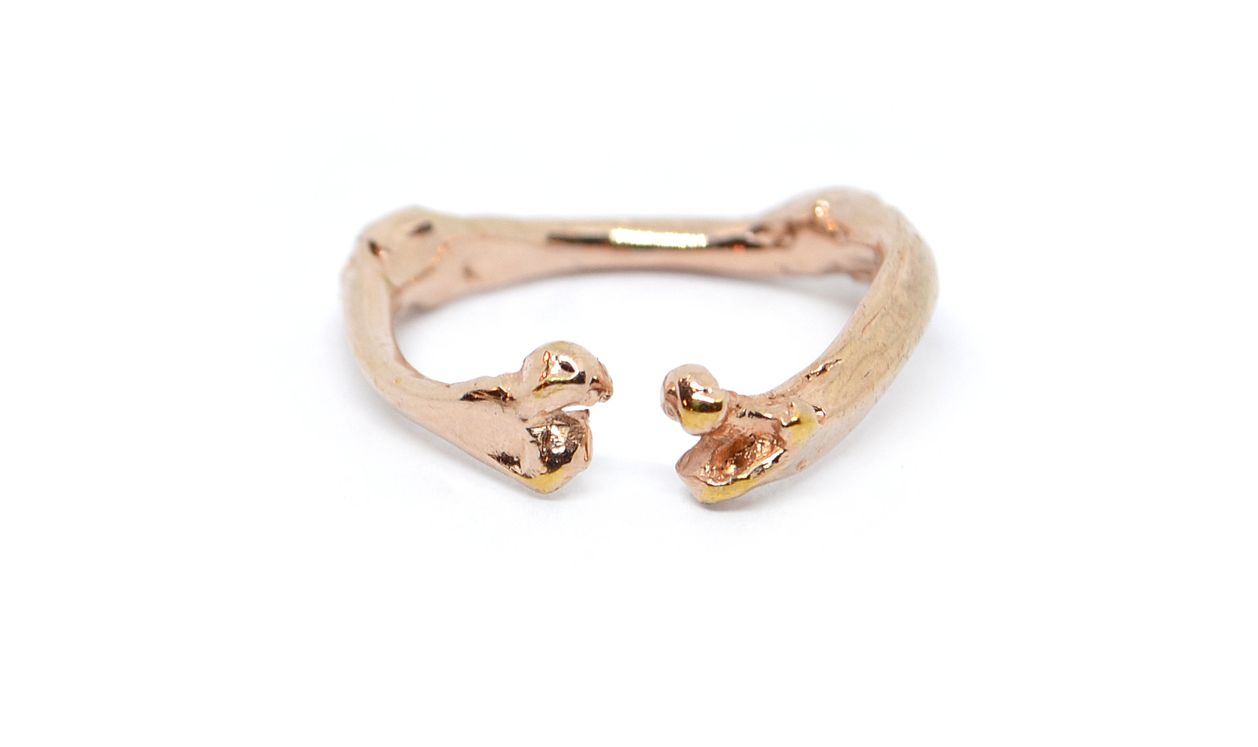 Bird Bone Ring