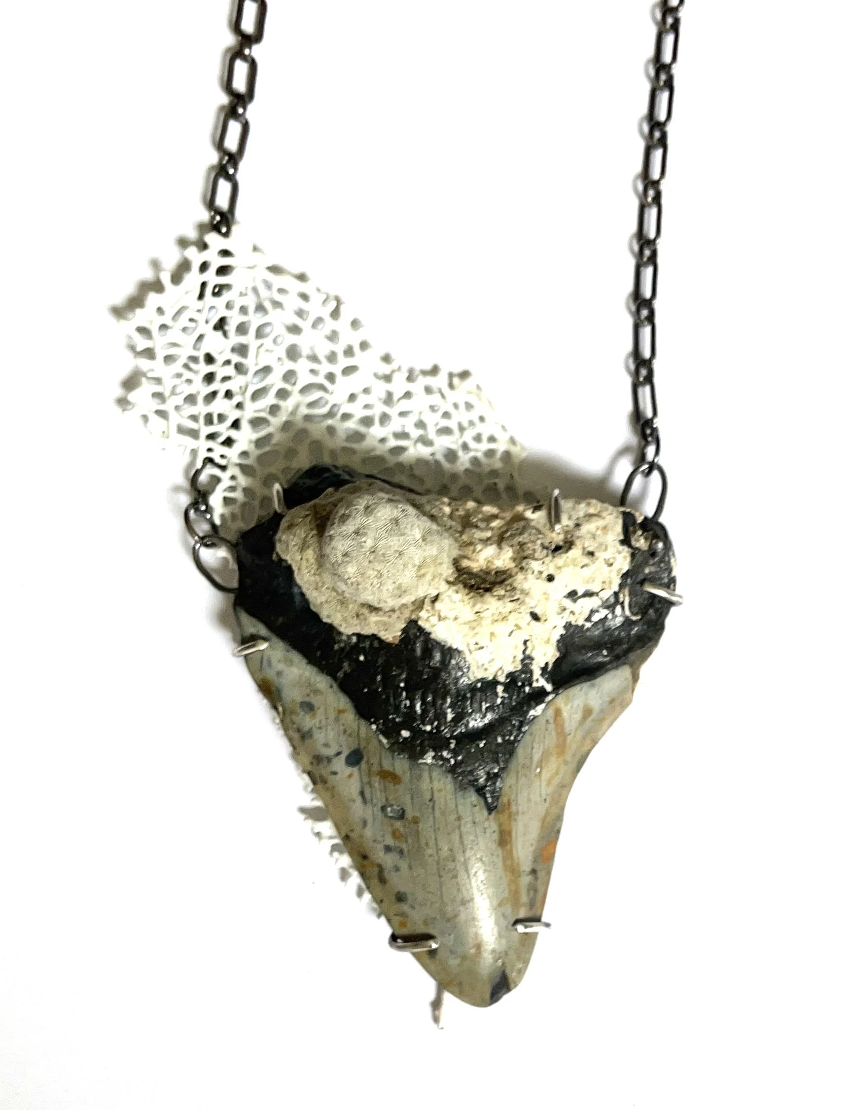 Orchil shark tooth and coral necklace