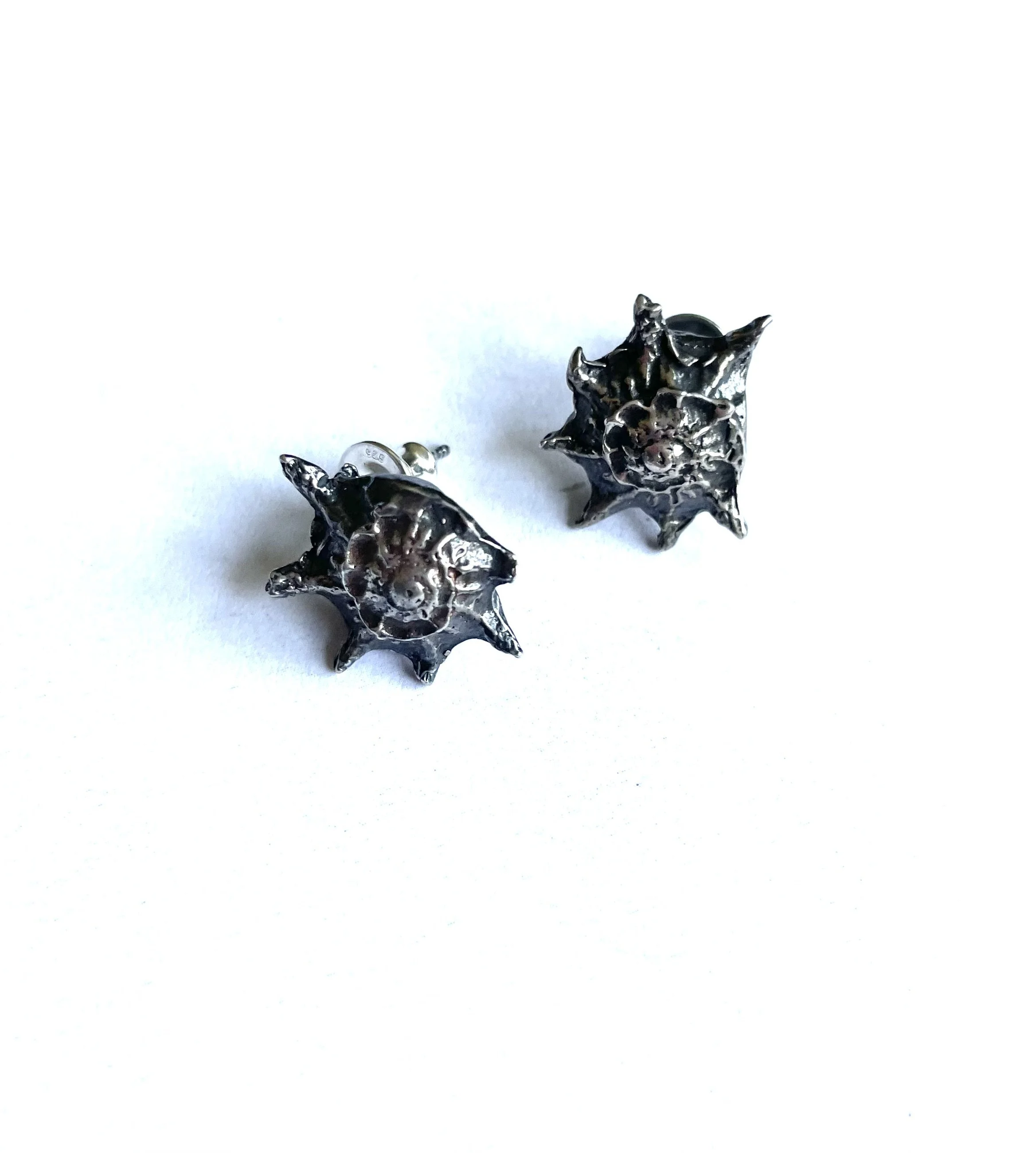 Orchil seashell earrings