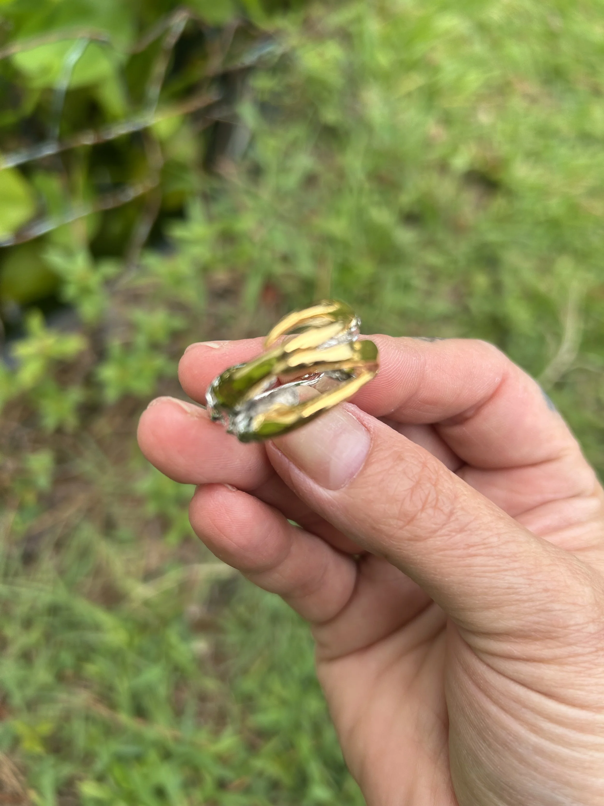 gold tipped talon ring (2).jpeg