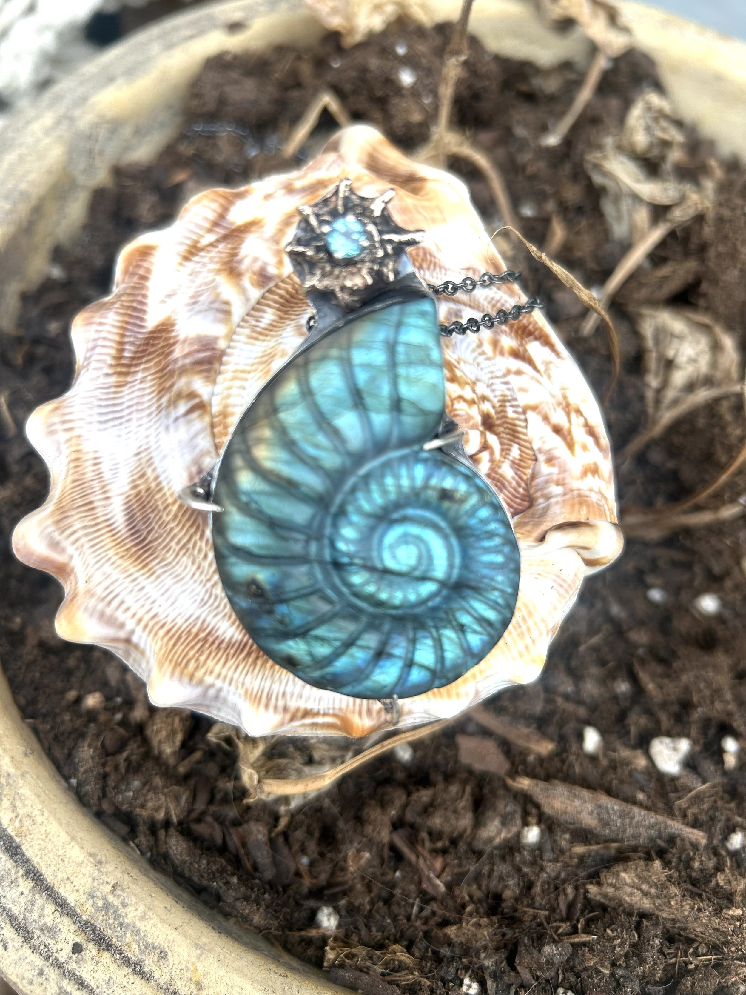 Venus ursula necklace (1).jpeg