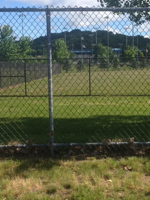 Jerry's bike path would extend towards Foley Stadium and skirt around it towards Pleasant Street. See Newton Hill towering in the background. The path could be go all the way to its entrance.