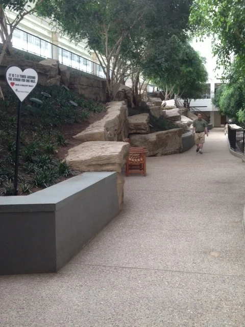 You don't even have to hit a city sidewalk to exercise. 7.5 times around this interior"park" makes for a mile. Look! You can even find trees in here. You don't have to go outside at all! Everything about this project is drawing you inside the four walls.