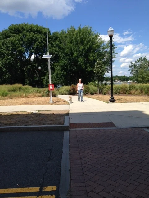 Just across from Great River Road, one can walk or bike past the banks of the Mystic River and watch the boats and wildlife. An amphitheater and children's park with playground equipment are public spaces to enjoy. 