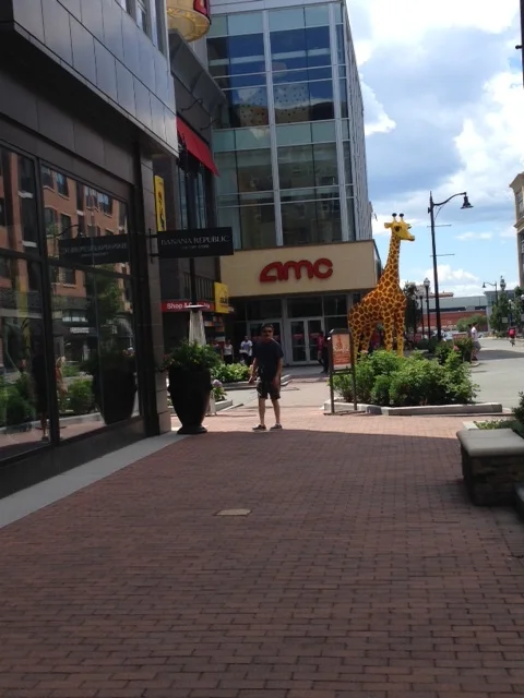 Most people don't realize it but traditional indoor privately owned malls are not like public open spaces. People can be escorted off the premises. So anything that makes us uncomfortable - people who display signs of mental illness or people who are asking for money-- are excluded to give us the illusion that there is no such thing as social problems in our society. I wondered if the public streets at Assembly Row were treated as public or private spaces. How mall-like was this place? What would happen if someone took out their guitar to play for money at the pedestrian plaza near JP Licks? or what would happen if someone visibly down-and-out, sat down on one of the benches on the picture-perfect street and asked for money? Would they be escorted off these premises? Joel and I came up with a huge guerrilla-theater experiment. What if we got an artist friend to create a giant life sized beggar built out of legos and we deposited him at midnight outside of Legoland in front of the giraffe pictured above? Would he be arrested and courted away by police? Would people put pennies into his lego begging cup?