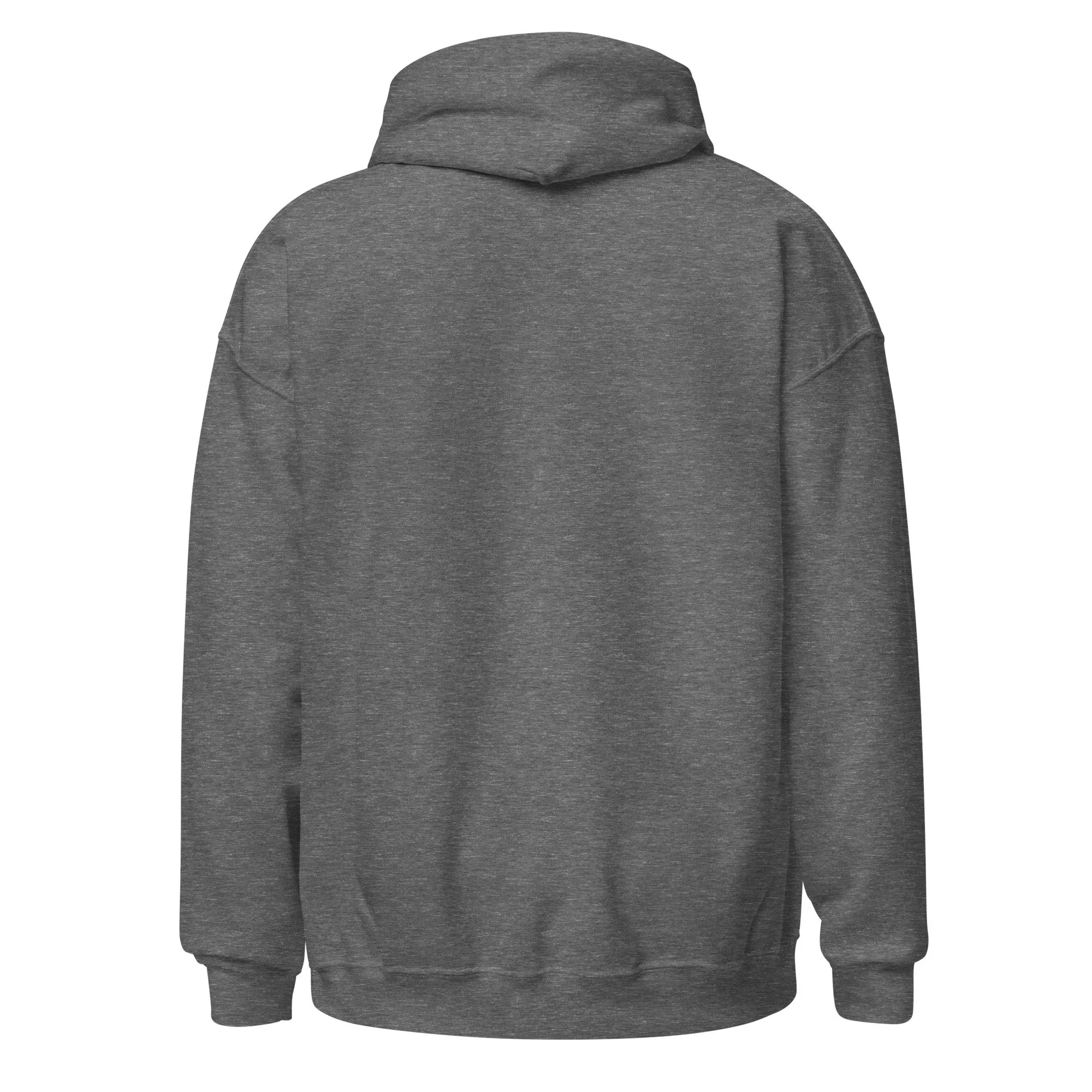 unisex-heavy-blend-hoodie-graphite-heather-back-68da0136b2c1d.jpg