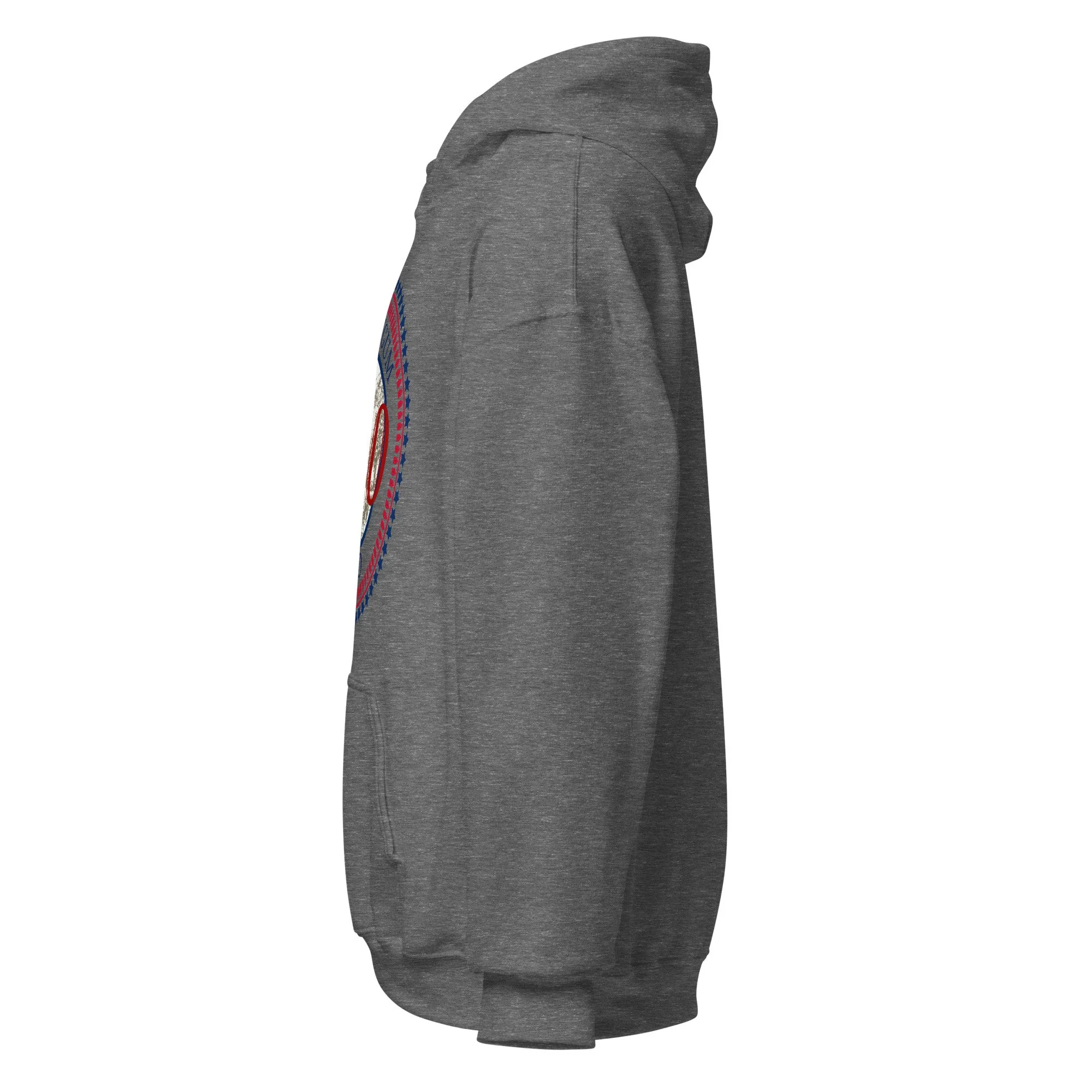 unisex-heavy-blend-hoodie-graphite-heather-left-68da0136b3ee8.jpg