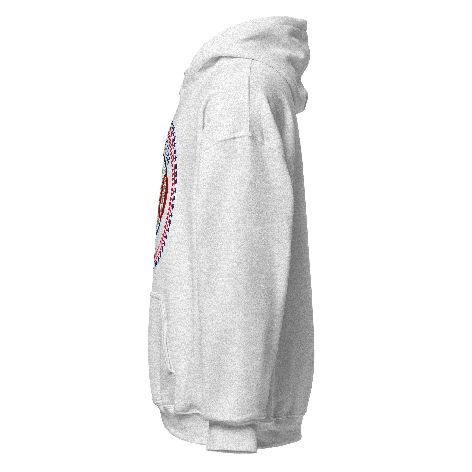 unisex-heavy-blend-hoodie-ash-left-68da0136b3a9e.jpg