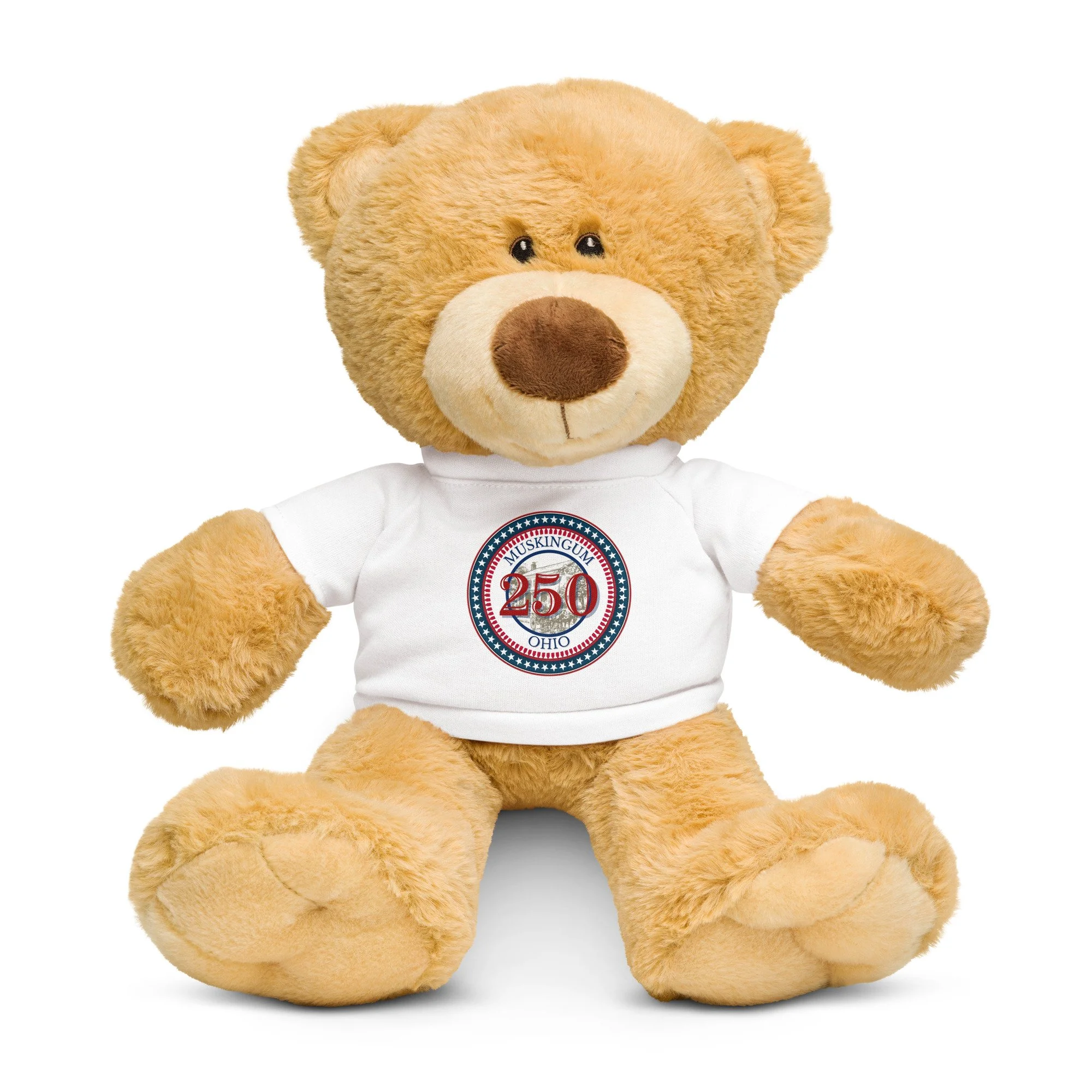 teddy-bear-with-a-t-shirt-white-front-6a45af082ed3e.jpg