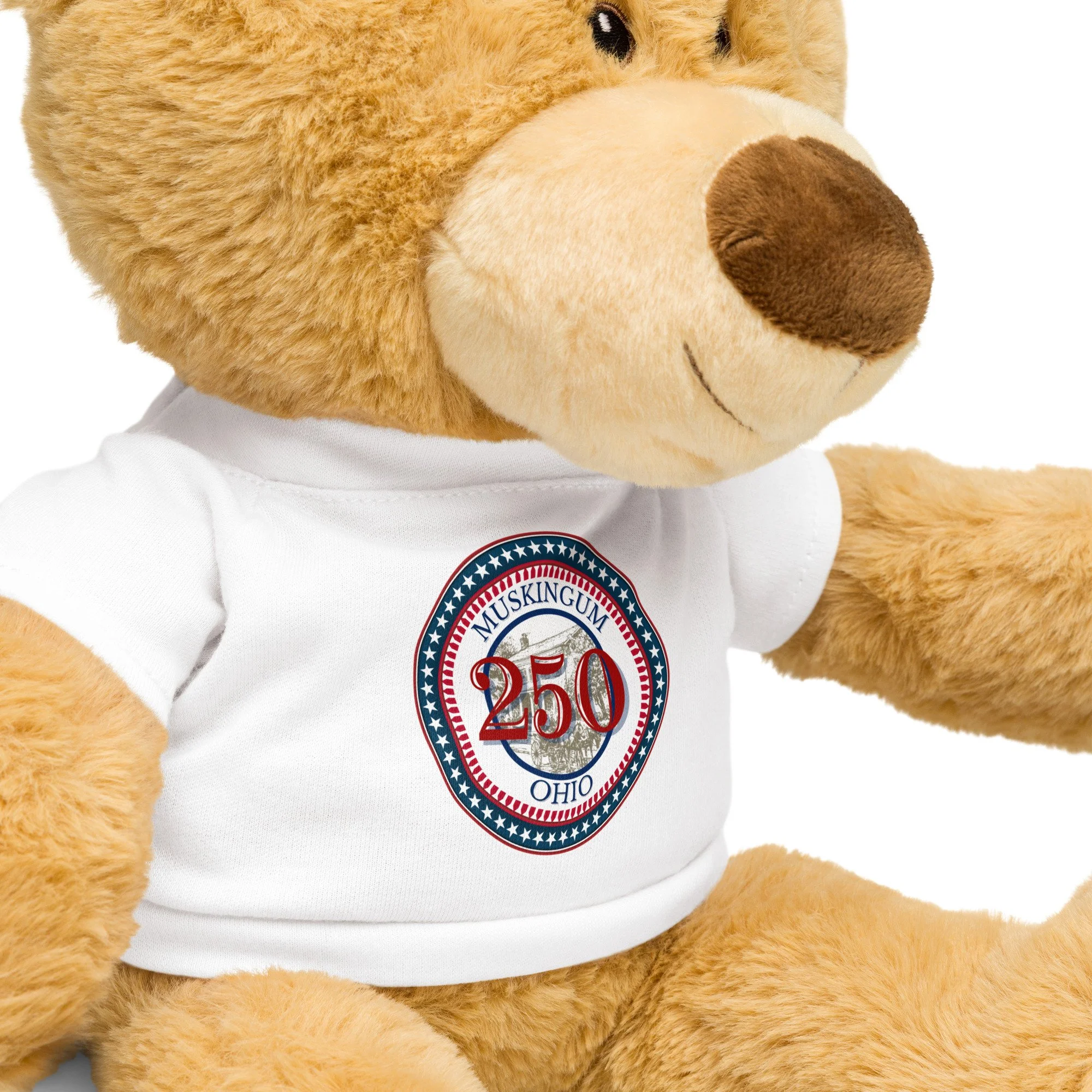 teddy-bear-with-a-t-shirt-white-product-details-6a45af0831cbf.jpg