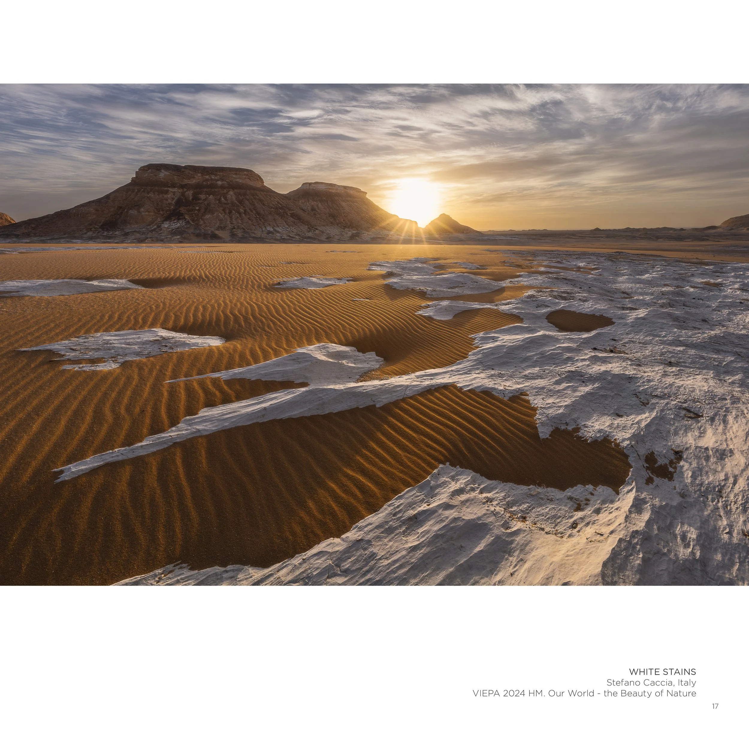 VIEPA 2026: Photography connects the world through peace.