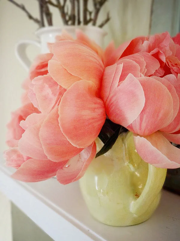 Peonies and Pitcher.jpg