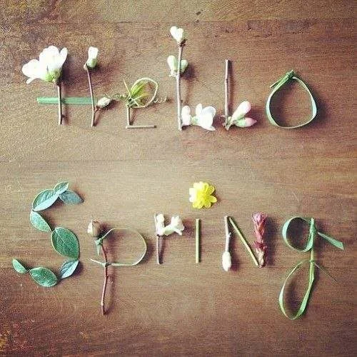 spring.jpg