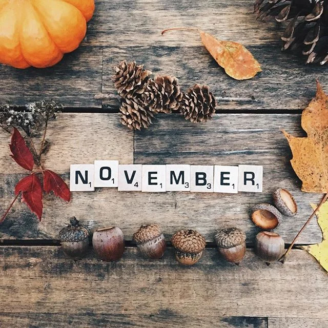 welcome-november.jpg