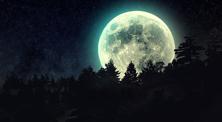 full-moon-beyond-the-pines-728-x-400.jpg