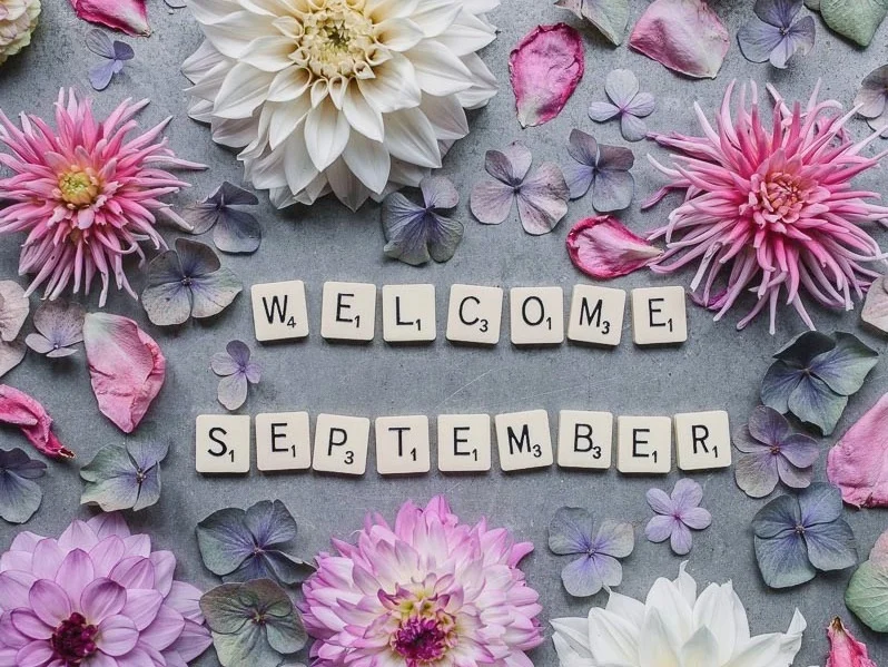 WelcomeSeptember1-1.jpg