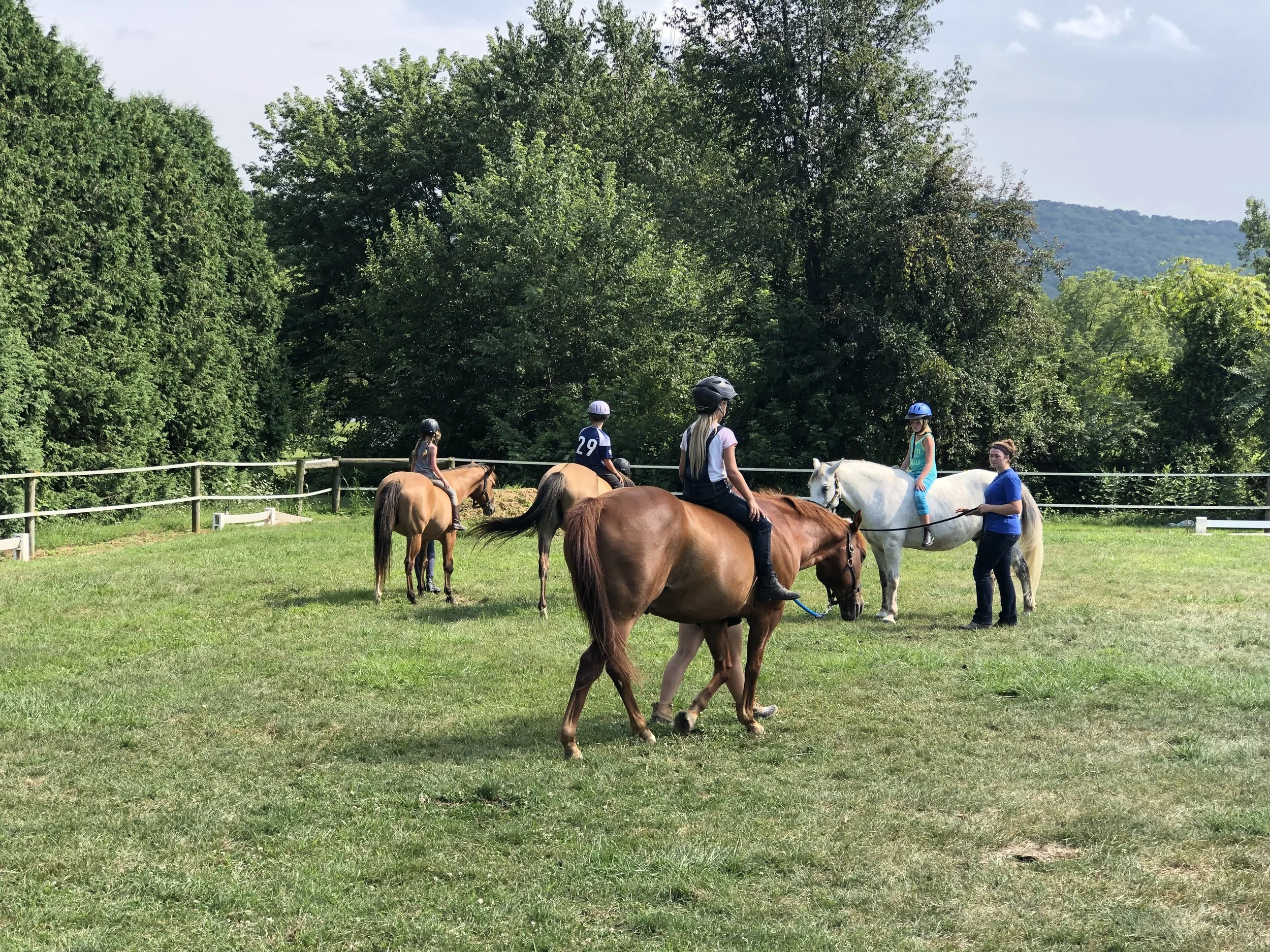 Summer intro camp.jpg